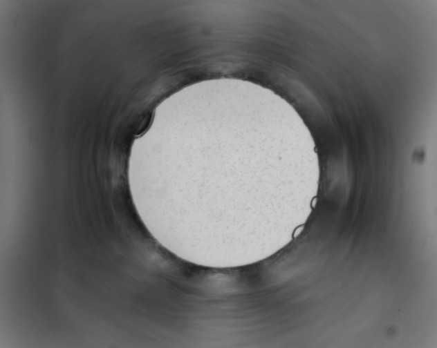 X0000101190236200807251009