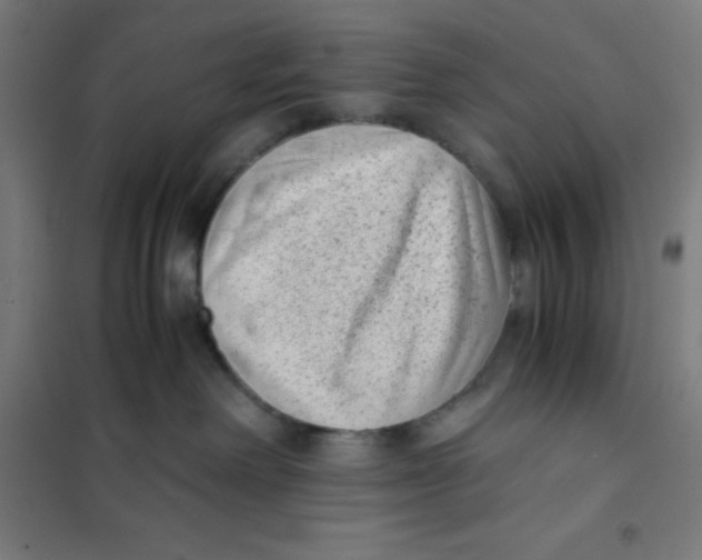 X0000101190238200807251009