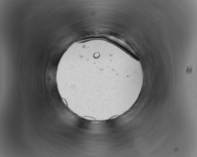 X0000101190240200807251009