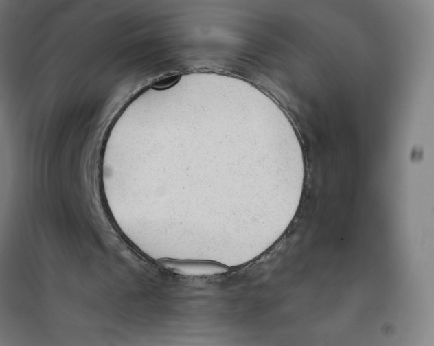 X0000101190241200807251009