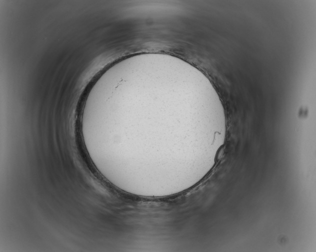 X0000101190242200807251009