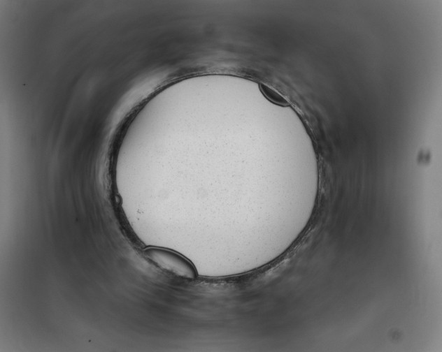 X0000101190245200807251009