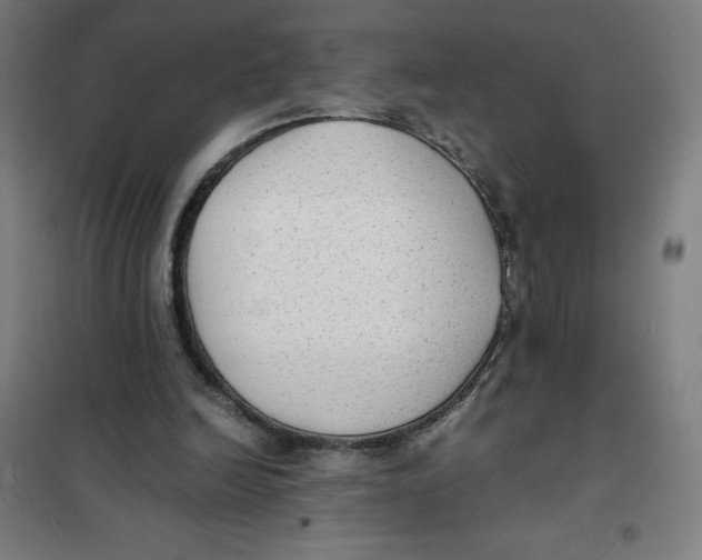 X0000101190246200807251009