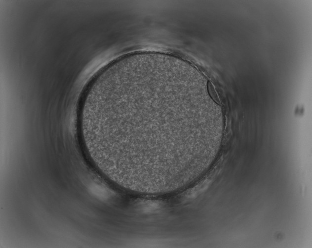 X0000101190247200807251009