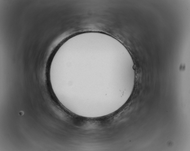 X0000101190248200807251009