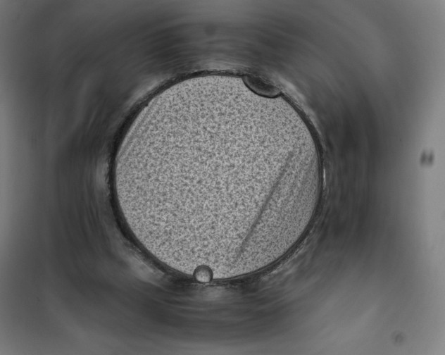 X0000101190249200807251009