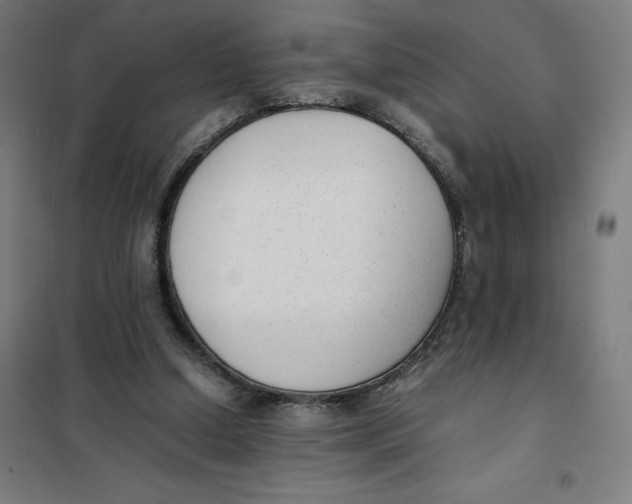 X0000101190250200807251009