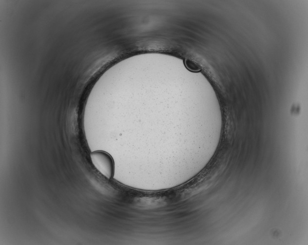 X0000101190251200807251009