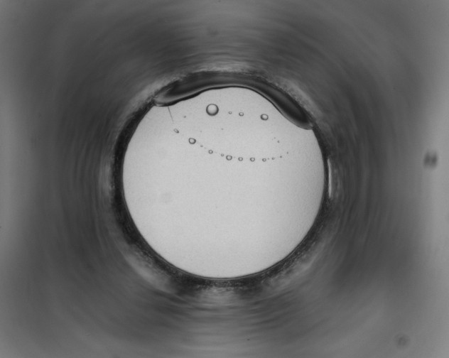 X0000101190252200807251009