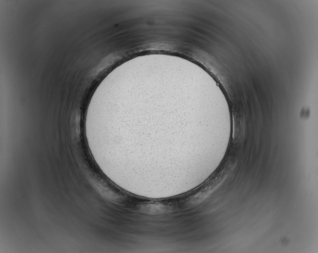 X0000101190253200807251009