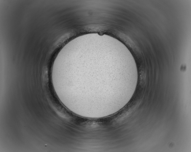 X0000101190254200807251009