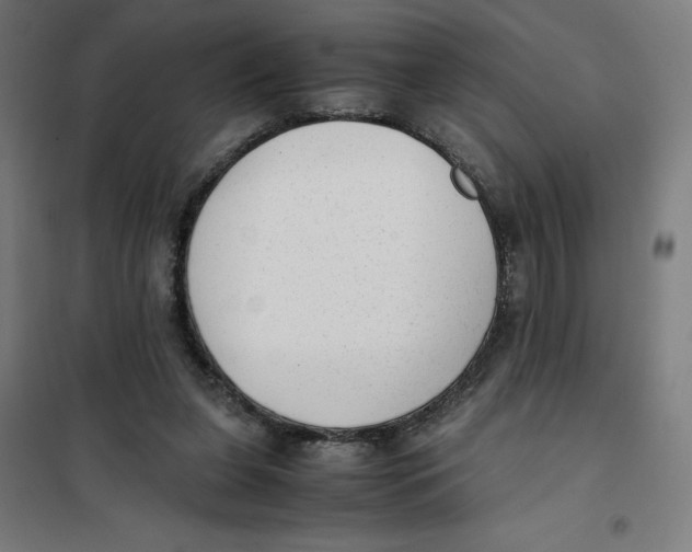 X0000101190255200807251009
