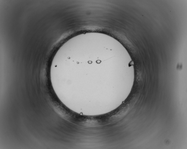 X0000101190256200807251009