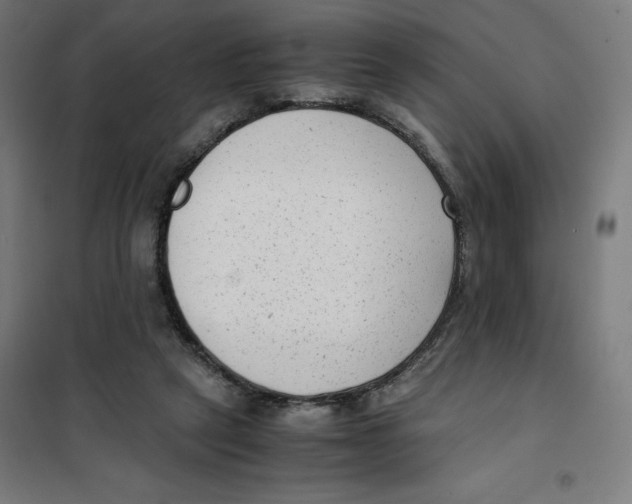 X0000101190257200807251009