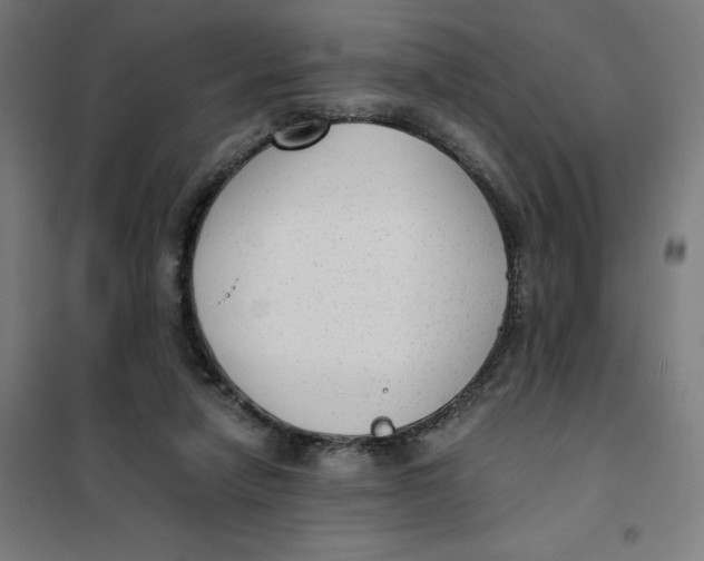 X0000101190258200807251009