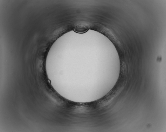 X0000101190259200807251009