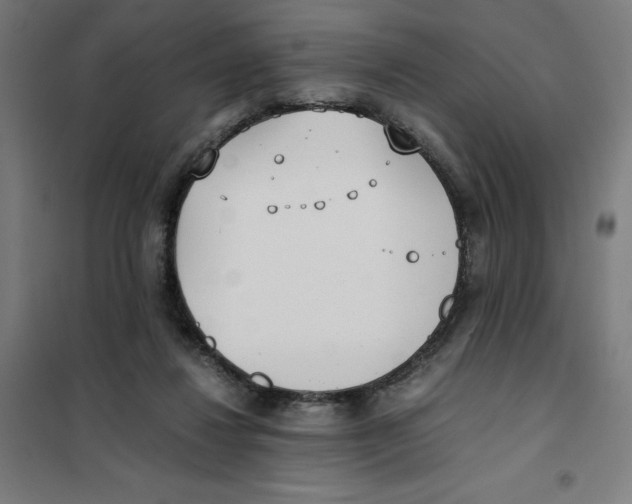 X0000101190260200807251009