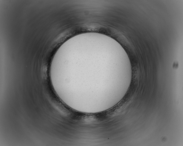 X0000101190262200807251009
