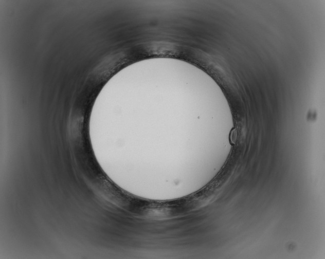 X0000101190263200807251009