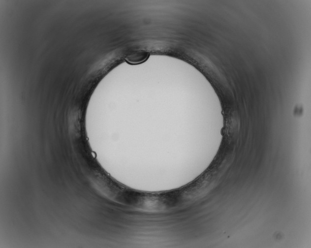 X0000101190264200807251009