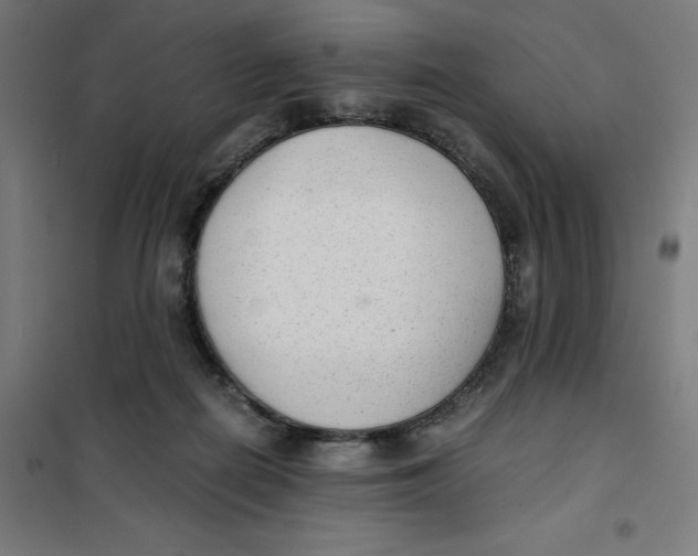 X0000101190266200807251009