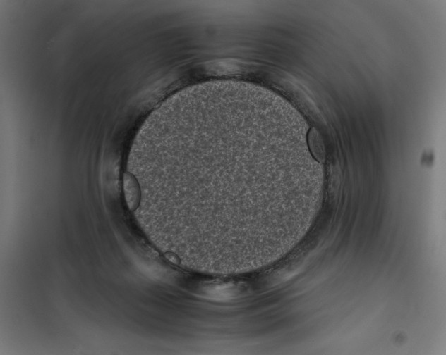 X0000101190267200807251009