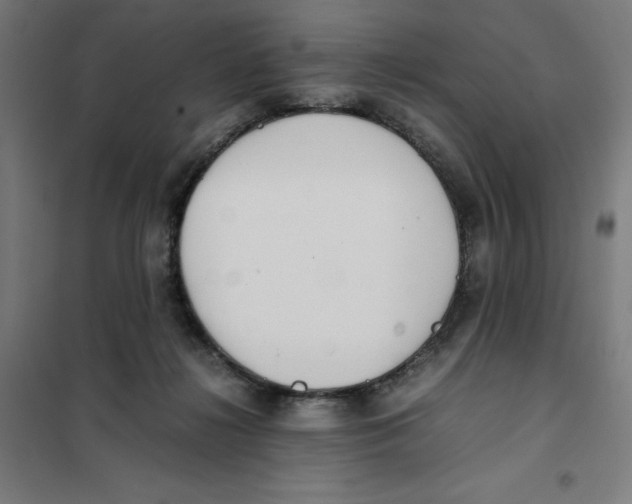 X0000101190268200807251009