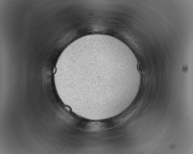 X0000101190269200807251009