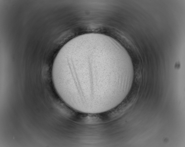 X0000101190270200807251009