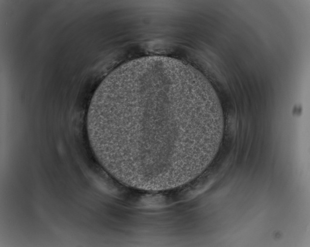 X0000101190271200807251009