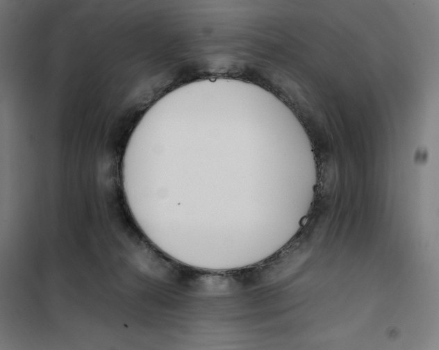 X0000101190272200807251009