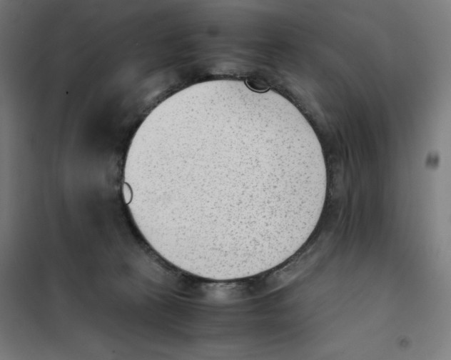 X0000101190273200807251009