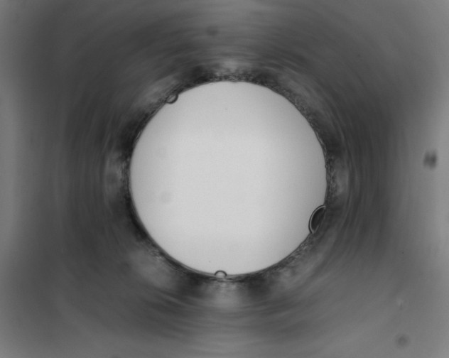 X0000101190276200807251009