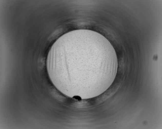 X0000101190278200807251009