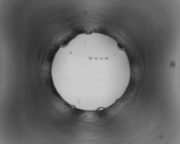 X0000101190280200807251009