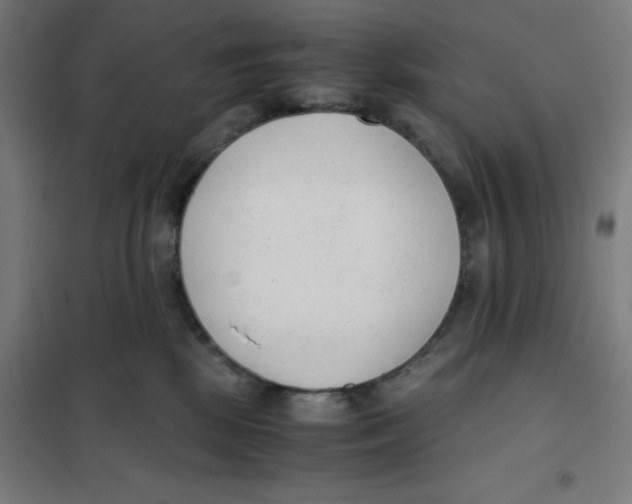 X0000101190281200807251009