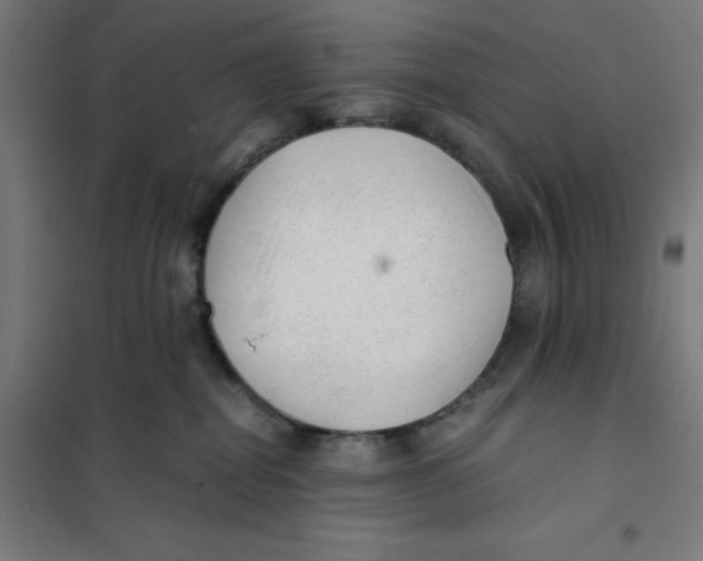 X0000101190282200807251009