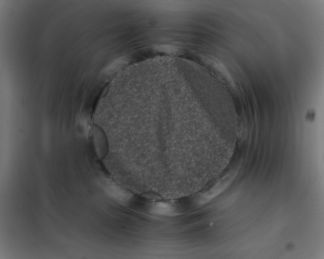 X0000101190285200807251009