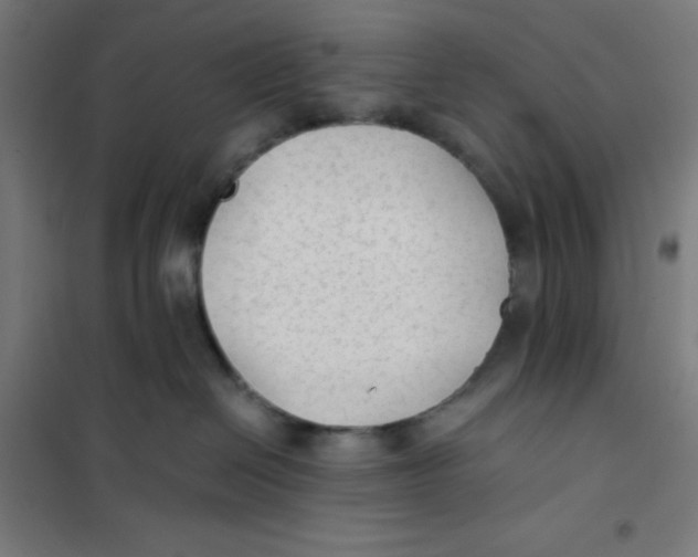 X0000101190286200807251009