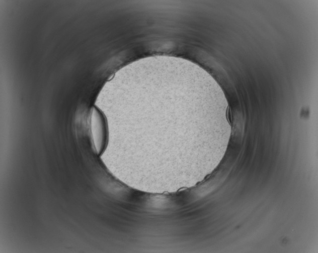 X0000101190287200807251009