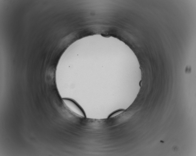 X0000101190288200807251009