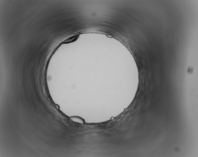 X0000101190289200807251009