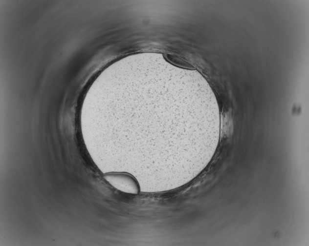 X0000101190291200807251009
