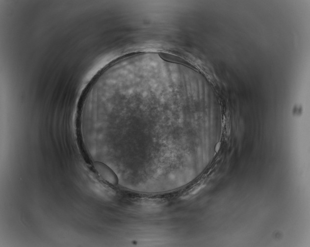 X0000101190292200807251009