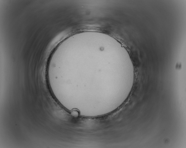 X0000101190293200807251009