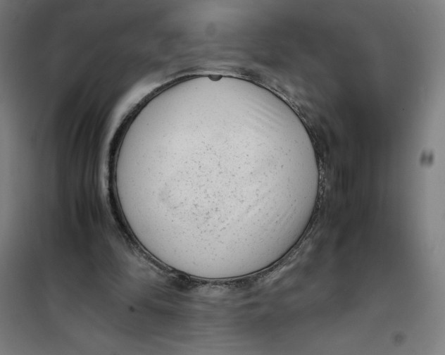 X0000101190294200807251009
