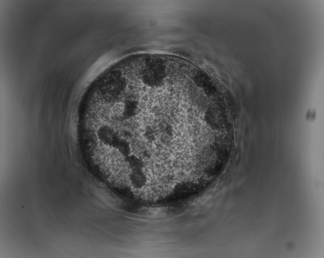 X0000101190295200807251009