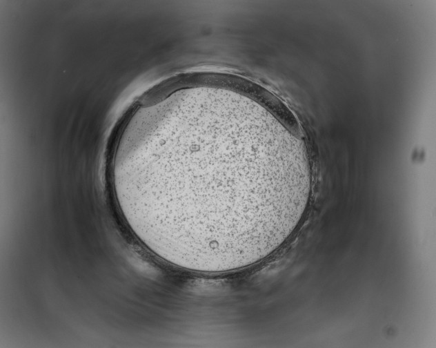X0000101190296200807251009