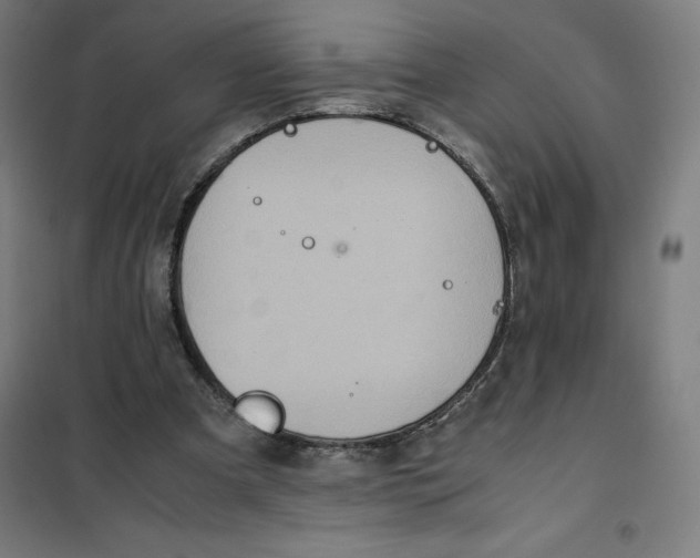 X0000101190297200807251009