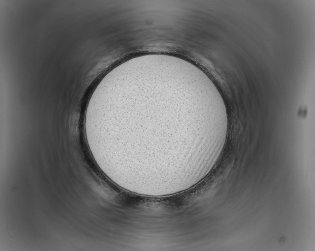X0000101190299200807251009